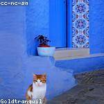 Elisabeth Carroll Profile Picture