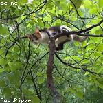 Coby Mosciski Profile Picture